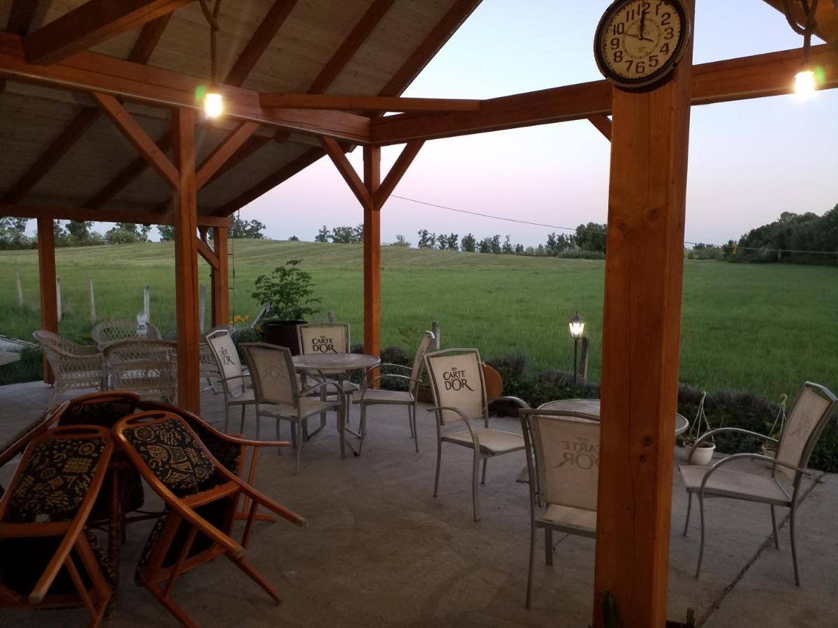 Apartament Tomajor Vendeghazak Tiszaeszlar Zewnętrze zdjęcie