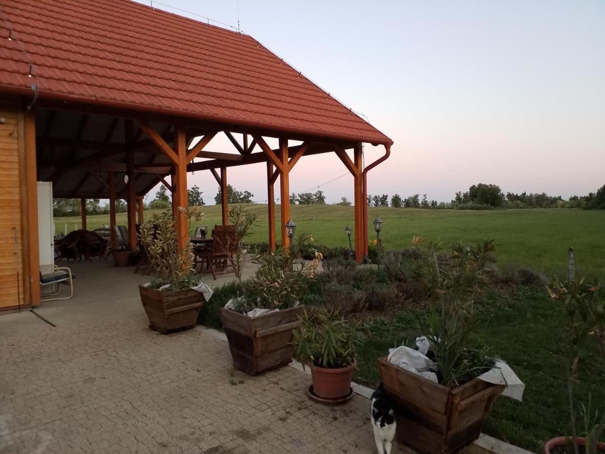 Apartament Tomajor Vendeghazak Tiszaeszlar Zewnętrze zdjęcie